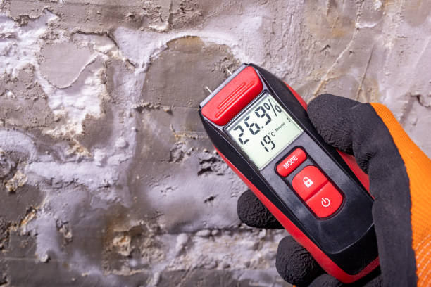 Best Commercial Mold Removal  in Annapolis, MD
