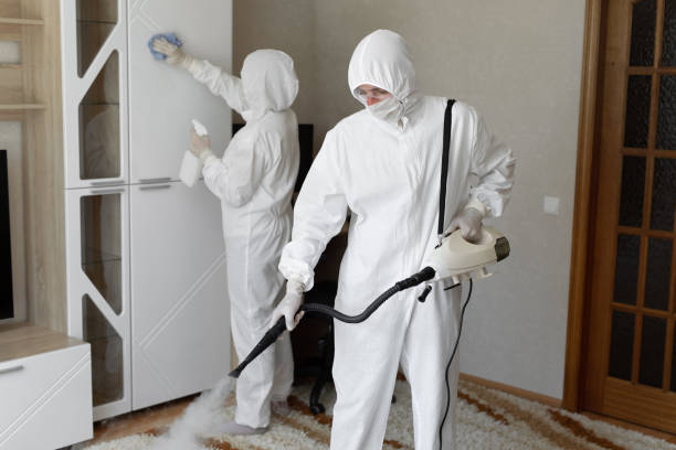Best Toxic Mold Removal  in Annapolis, MD