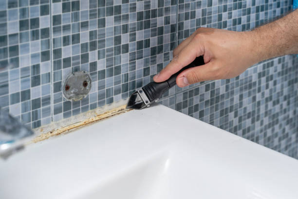 Professional Mold Removal in Annapolis, MD